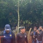 Ministerio Público tiene previsto el próximo 12 de enero solicitar medidas de coerción contra Rafael Rosario Núñez, alias “Papito”, de 52 años, y Reyes Rosario Núñez